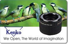 Kenko
